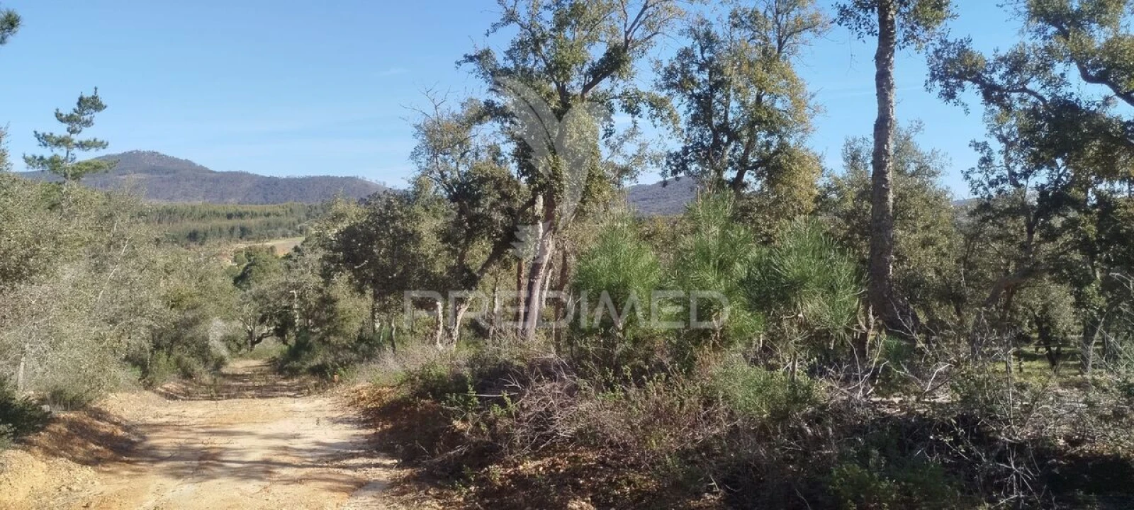 Terreno para Venda em São Francisco da Serra Foto 3