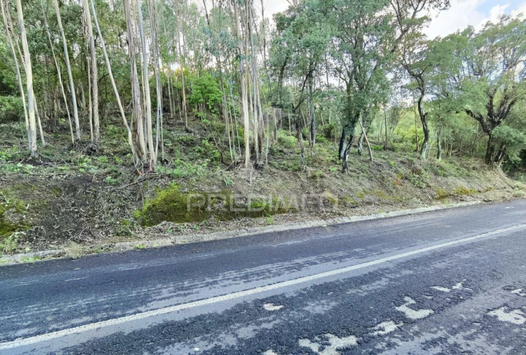 Terreno para Venda em Amiais de Baixo Foto 26