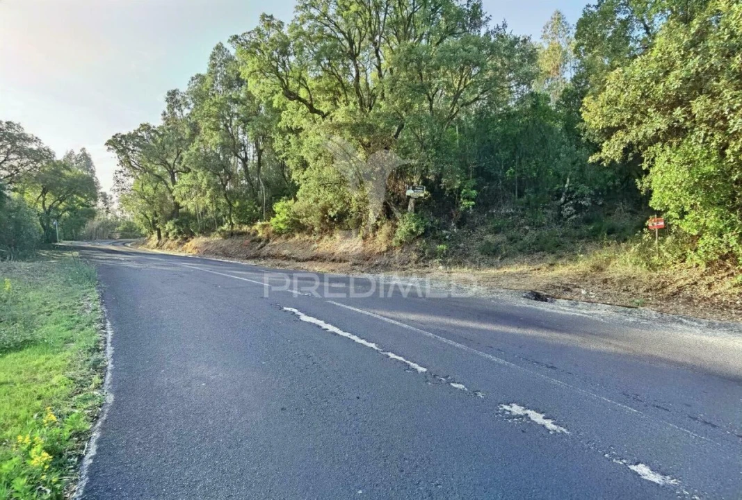 Terreno para Venda em Amiais de Baixo Foto 6