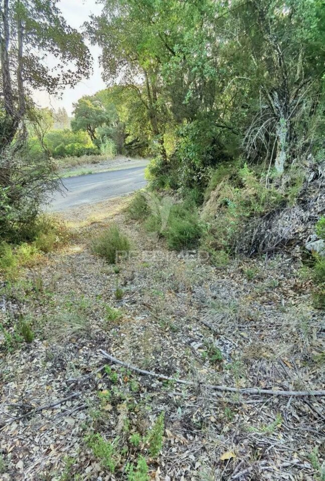 Terreno para Venda em Amiais de Baixo Foto 8