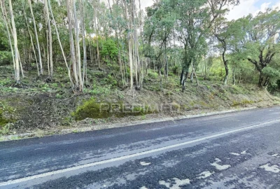 Terreno para Venda em Amiais de Baixo