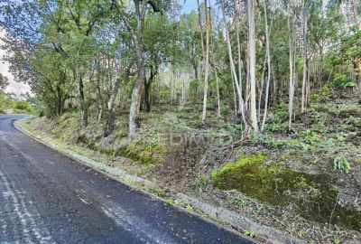 Terreno para Venda em Amiais de Baixo