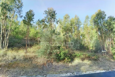 Terreno para Venda em Amiais de Baixo