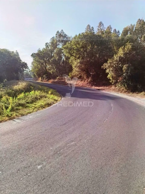 Terreno para Venda em Amiais de Baixo