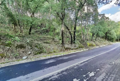 Terreno para Venda em Amiais de Baixo