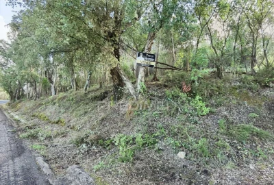 Terreno para Venda em Amiais de Baixo
