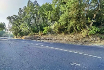 Terreno para Venda em Amiais de Baixo