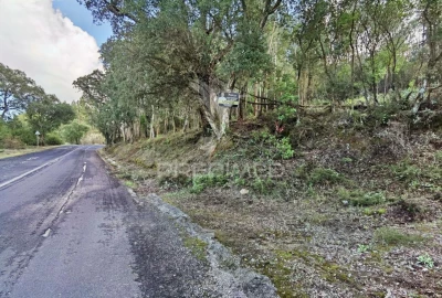 Terreno para Venda em Amiais de Baixo
