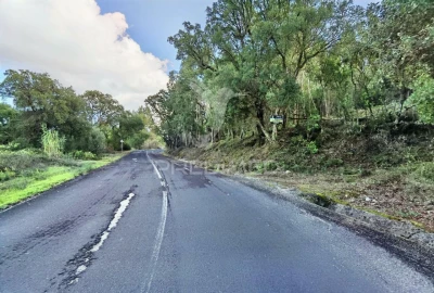 Terreno para Venda em Amiais de Baixo