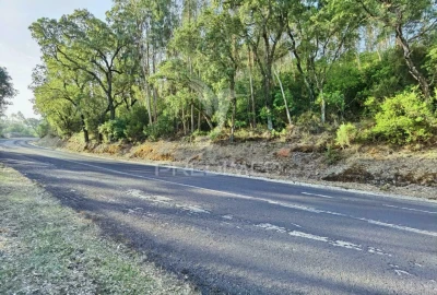 Terreno para Venda em Amiais de Baixo
