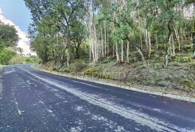 Terreno para Venda em Amiais de Baixo