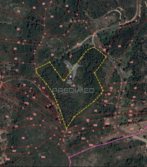 Terreno para Venda em Amiais de Baixo
