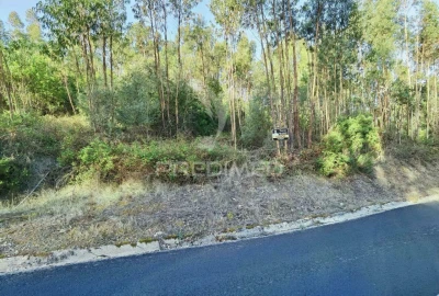 Terreno para Venda em Amiais de Baixo