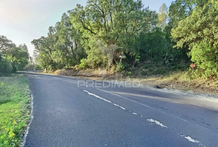 Terreno para Venda em Amiais de Baixo Foto 6