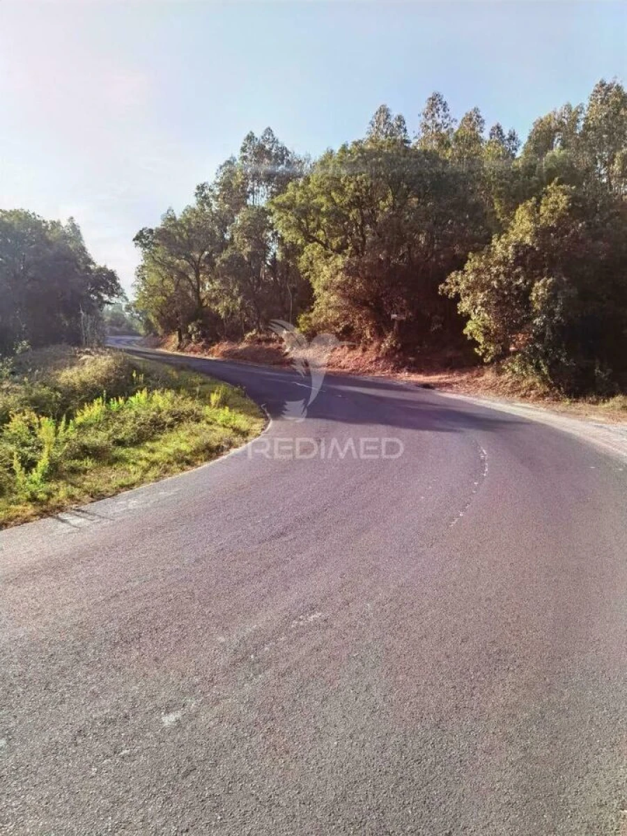 Terreno para Venda em Amiais de Baixo Foto 20