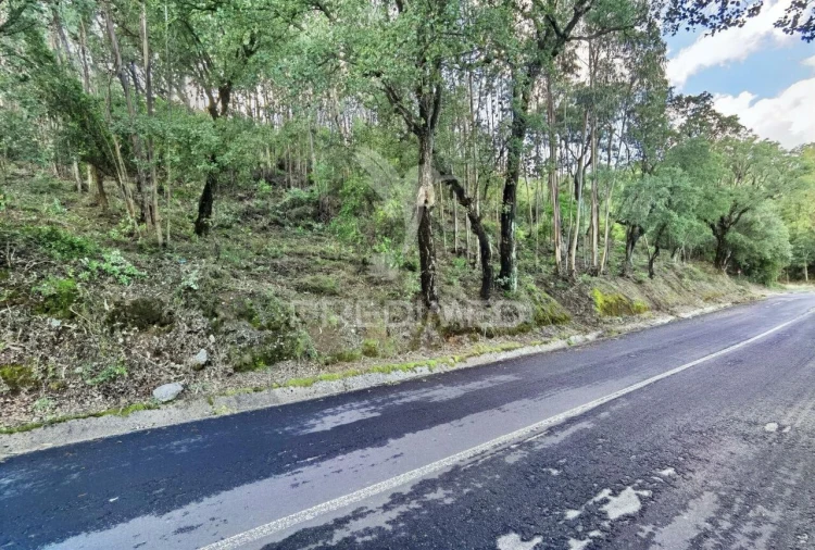 Terreno para Venda em Amiais de Baixo Foto 24
