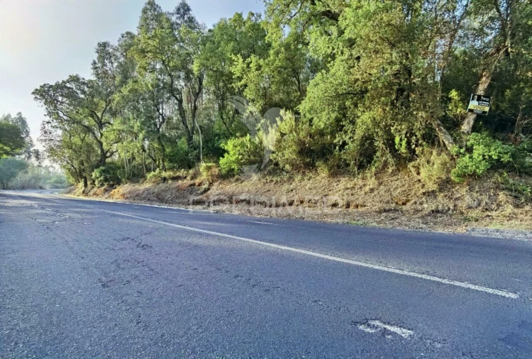 Terreno para Venda em Amiais de Baixo Foto 17