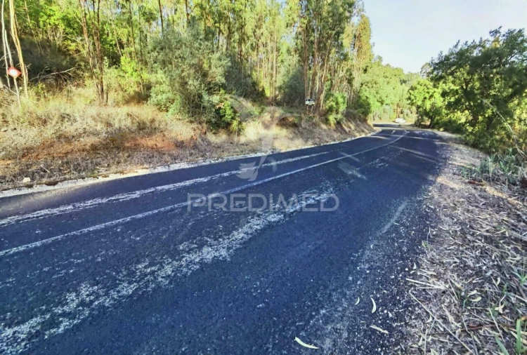 Terreno para Venda em Amiais de Baixo Foto 13