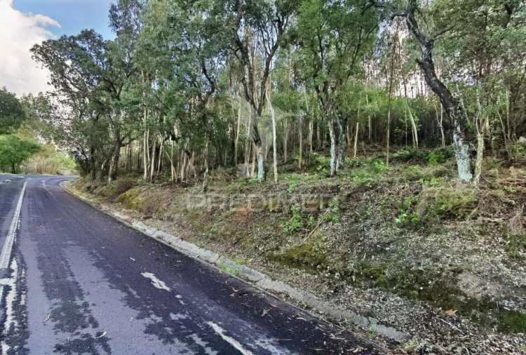 Terreno para Venda em Amiais de Baixo Foto 22