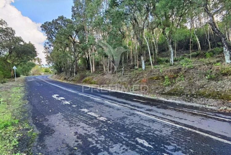 Terreno para Venda em Amiais de Baixo Foto 21