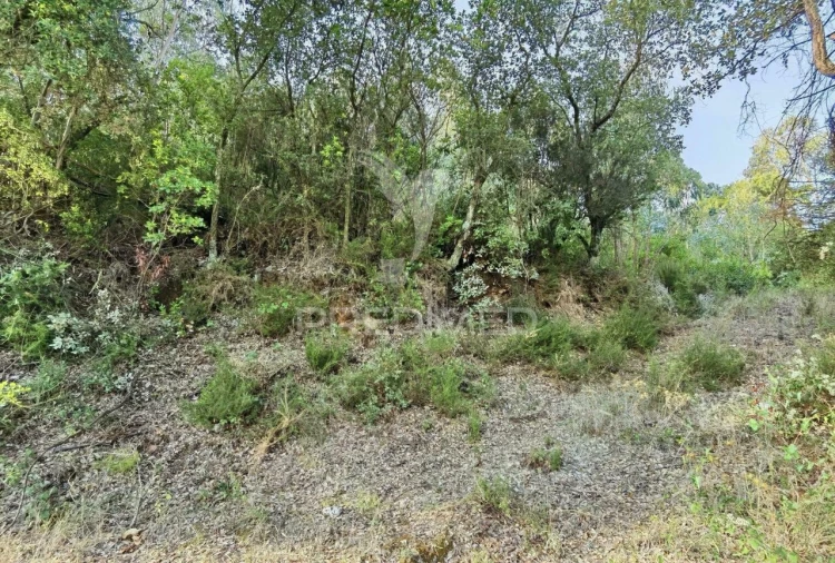 Terreno para Venda em Amiais de Baixo Foto 18