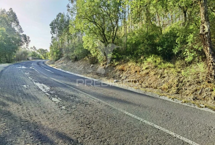 Terreno para Venda em Amiais de Baixo Foto 10