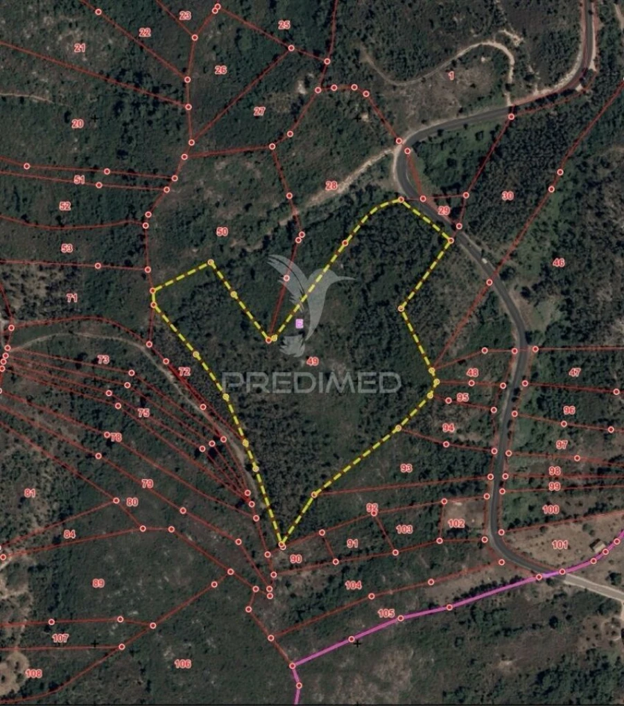 Terreno para Venda em Amiais de Baixo Foto 5