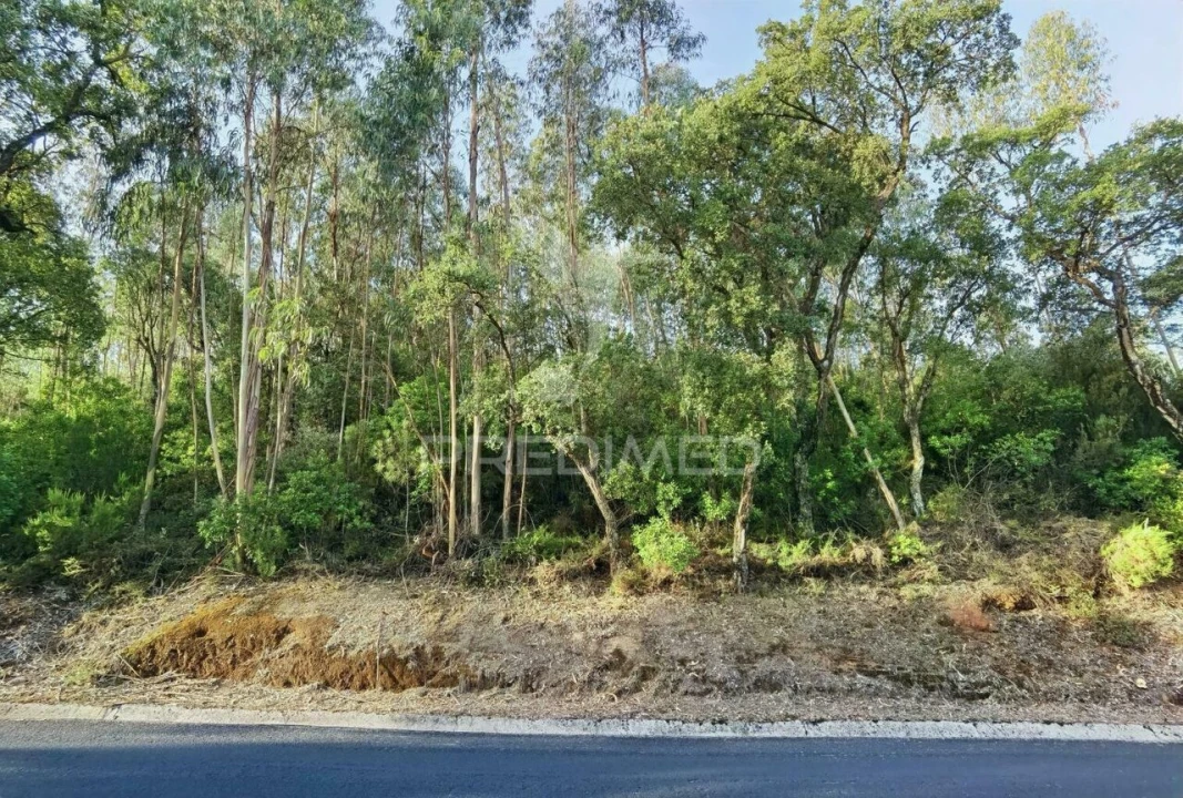 Terreno para Venda em Amiais de Baixo Foto 16
