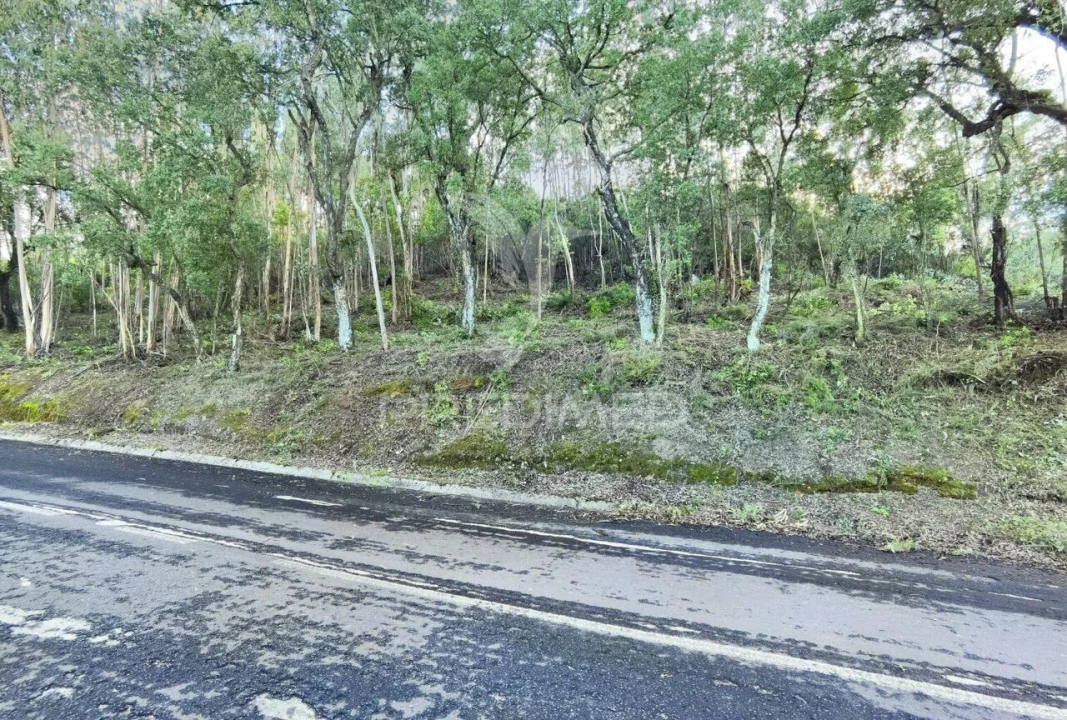 Terreno para Venda em Amiais de Baixo Foto 3