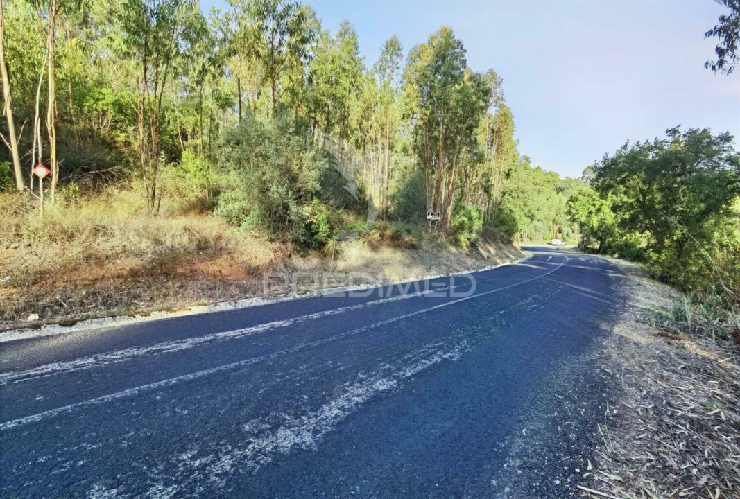 Terreno para Venda em Amiais de Baixo Foto 14