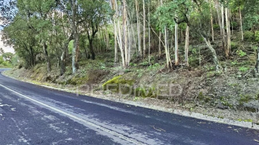 Terreno para Venda em Amiais de Baixo