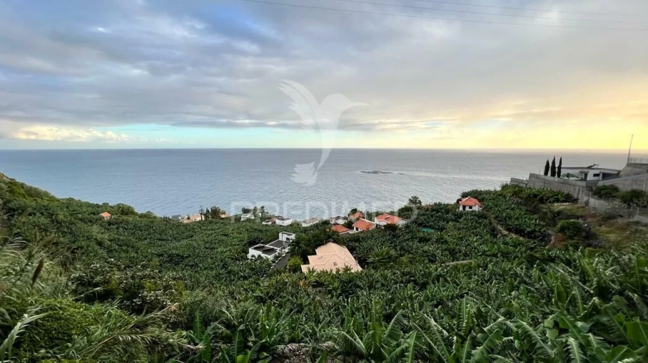 Terreno para Venda em Arco da Calheta Foto 5