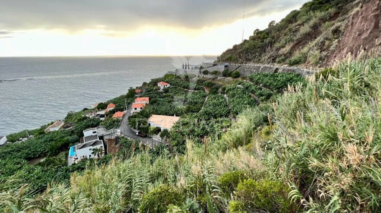 Terreno para Venda em Arco da Calheta Foto 4