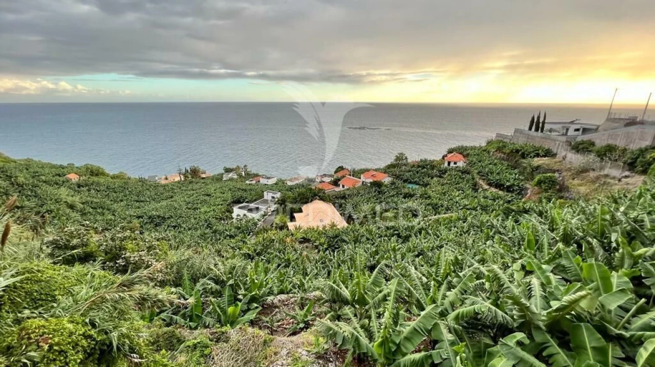Terreno para Venda em Arco da Calheta Foto 8