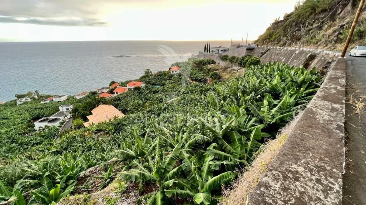 Terreno para Venda em Arco da Calheta Foto 6