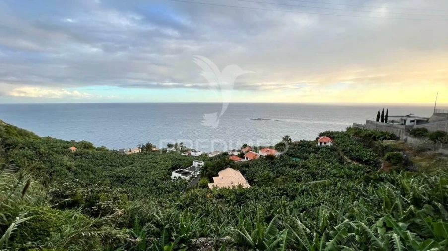 Terreno para Venda em Arco da Calheta Foto 5
