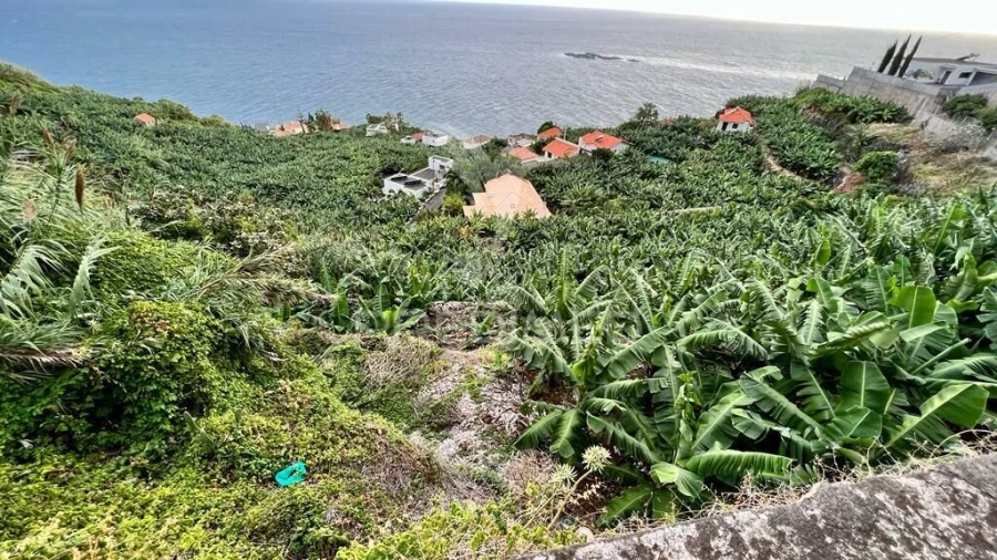 Terreno para Venda em Arco da Calheta Foto 3