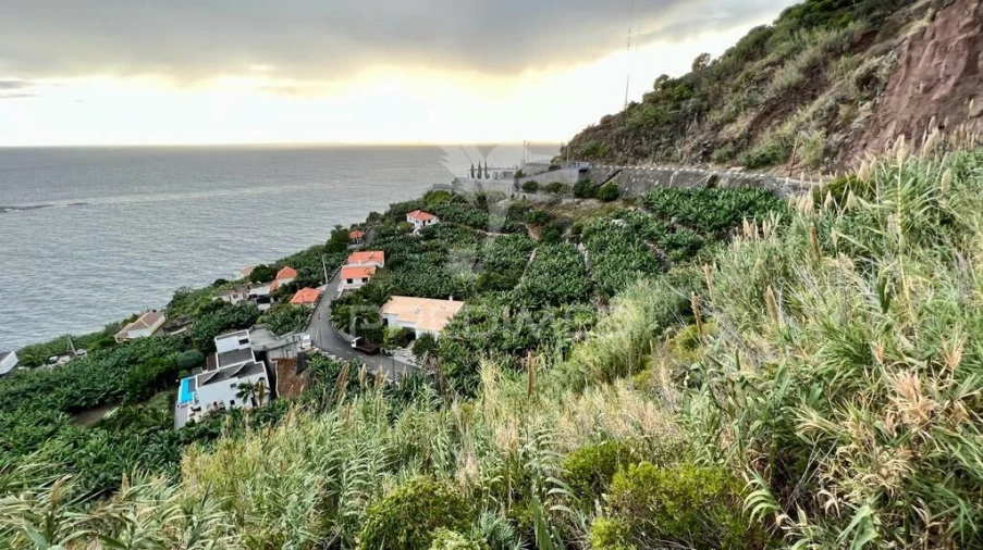 Terreno para Venda em Arco da Calheta Foto 4