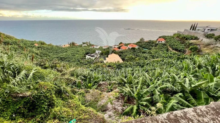 Terreno para Venda em Arco da Calheta Foto 2