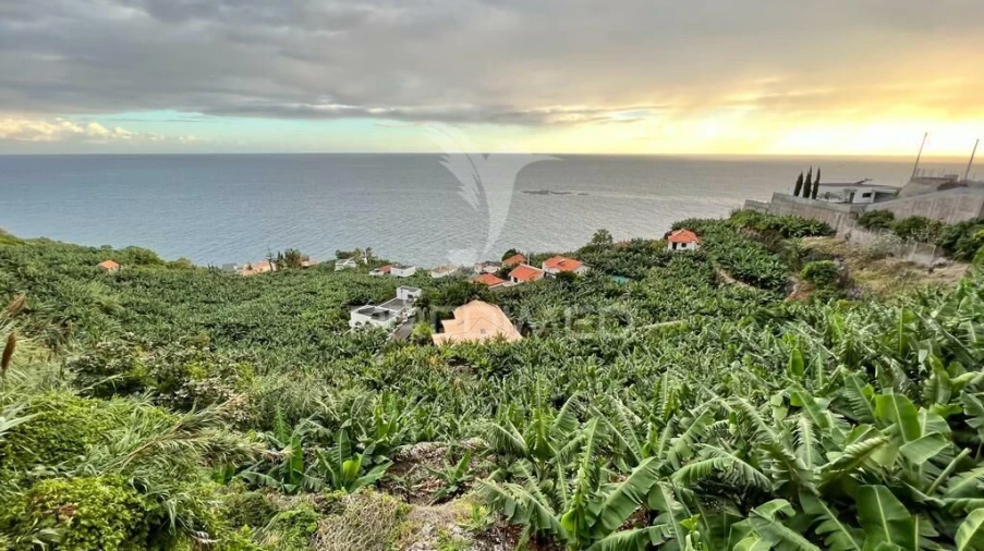 Terreno para Venda em Arco da Calheta Foto 8