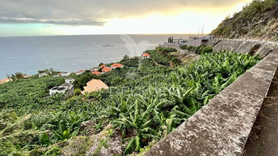 Terreno para Venda em Arco da Calheta Foto 7