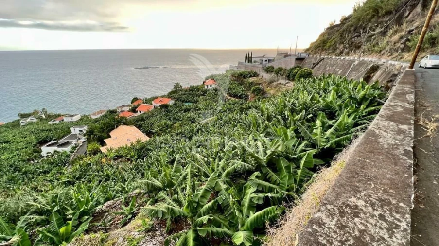 Terreno para Venda em Arco da Calheta Foto 6