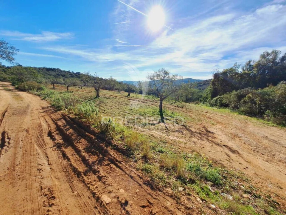 Terreno para Venda em São Brás de Alportel Foto 3