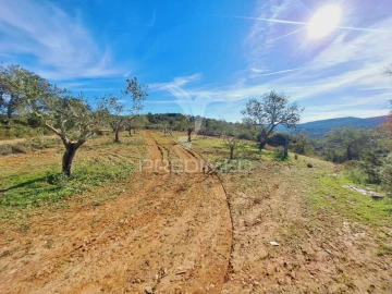 Terreno para Venda em São Brás de Alportel