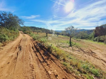 Terreno para Venda em São Brás de Alportel