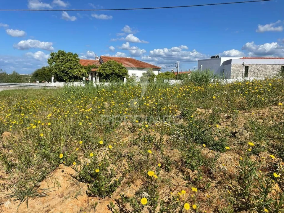 Terreno para Venda em Marvila, Ribeira Santarém, São Salvador, São Nicolau Foto 6