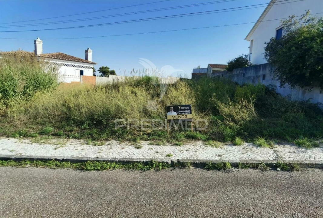Terreno para Venda em Marvila, Ribeira Santarém, São Salvador, São Nicolau Foto 3
