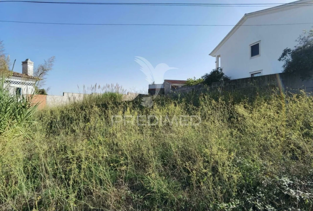 Terreno para Venda em Marvila, Ribeira Santarém, São Salvador, São Nicolau Foto 8
