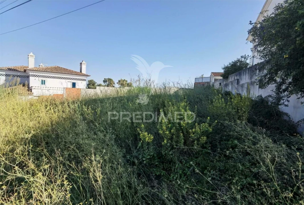 Terreno para Venda em Marvila, Ribeira Santarém, São Salvador, São Nicolau Foto 7