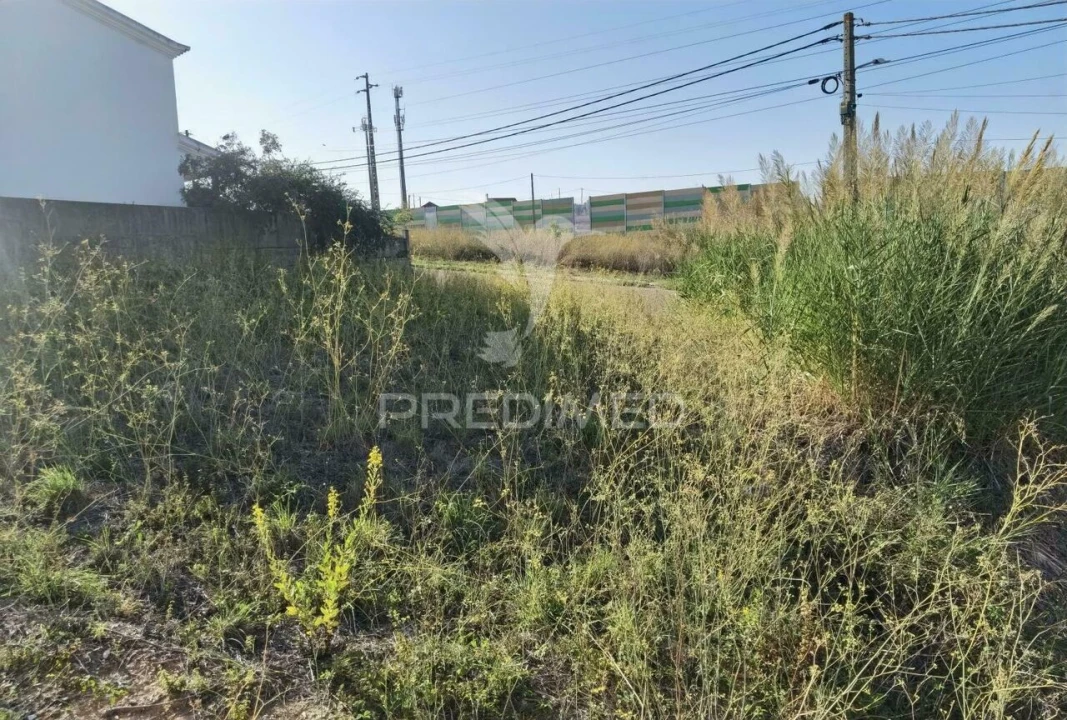 Terreno para Venda em Marvila, Ribeira Santarém, São Salvador, São Nicolau Foto 12